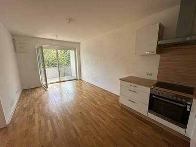 Terrassenwohnung kaufen in 4311 Schwertberg (Bild 2)