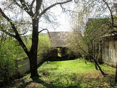 Haus mit Garten kaufen in 7371 Unterrabnitz (Bild 4)