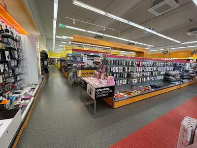 Gewerbeobjekt mieten in 7100 Neusiedl (Bild 4)