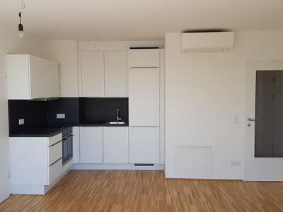 Terrassenwohnung mieten in 1220 Wien (Bild 3)