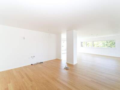 Anlageobjekt kaufen in 2345 Brunn (Bild 3)