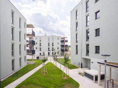 Terrassenwohnung kaufen in 2700 Wr. Neustadt (Bild 2)
