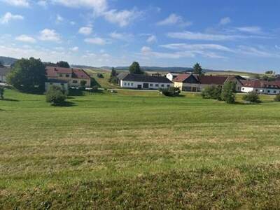 Grundstück kaufen in 3961 Groß