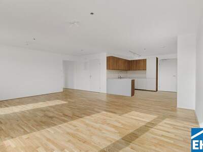 Terrassenwohnung mieten in 1200 Wien (Bild 3)