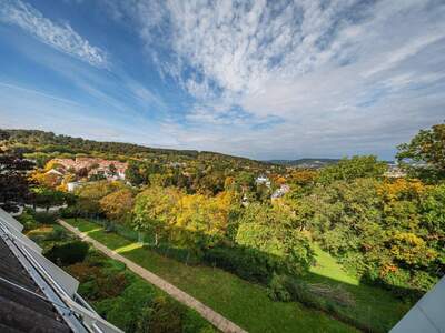 Haus kaufen in 1130 Wien
