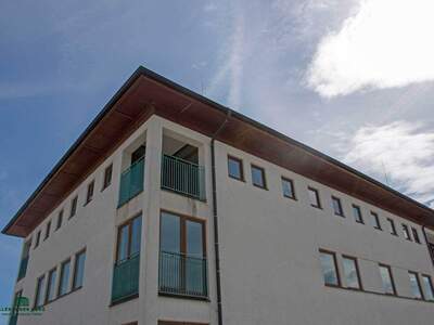 Gewerbeobjekt mieten in 5071 Kleßheim