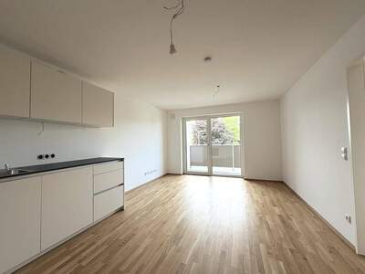 Wohnung mieten in 6890 Lustenau