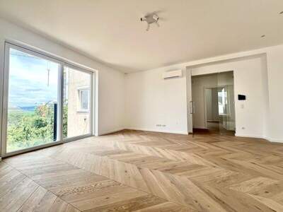 Terrassenwohnung kaufen in 1040 Wien