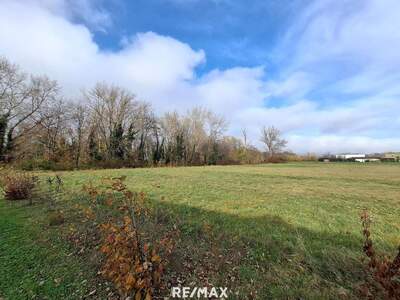 Haus mit Garten kaufen in 2485 Wimpassing (Bild 5)