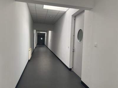 Gewerbeobjekt mieten in 1230 Wien (Bild 5)