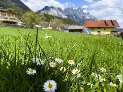 Grundstück kaufen in 8962 Mitterberg (Bild 1)