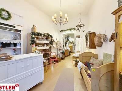 Gewerbeobjekt mieten in 2340 Mödling (Bild 2)