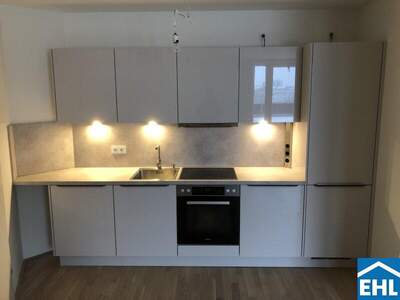 Terrassenwohnung mieten in 1090 Wien (Bild 2)