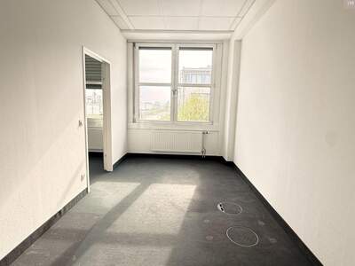 Gewerbeobjekt mieten in 2320 Schwechat (Bild 3)