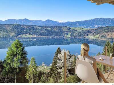 Terrassenwohnung kaufen in 9872 Millstatt (Bild 3)