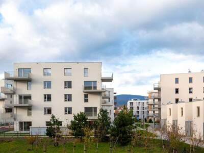 Wohnung mieten in 2500 Baden (Bild 2)