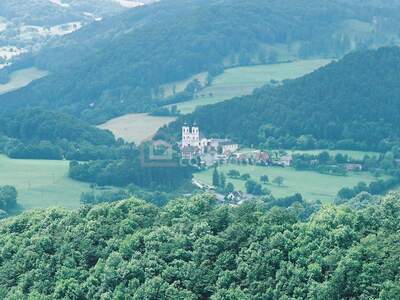 Grundstück kaufen in 2571 Altenmarkt