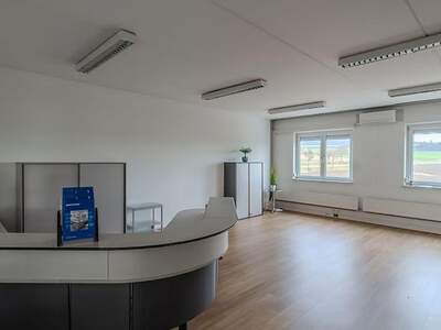 Gewerbeobjekt mieten in 3382 Loosdorf (Bild 4)
