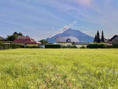 Grundstück kaufen in 5081 Anif