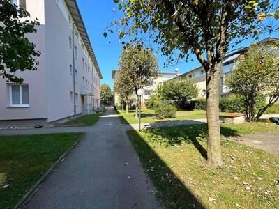 Mietwohnung in 4690 Schwanenstadt (Bild 1)