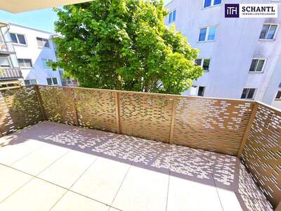 Terrassenwohnung kaufen in 1230 Wien (Bild 3)