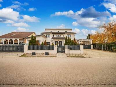 Haus kaufen in 2492 Eggendorf