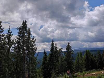 Grundstück kaufen in 8742 Obdach