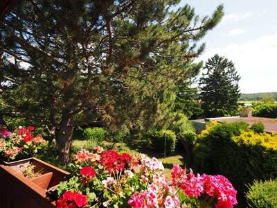 Haus kaufen in 2560 Berndorf