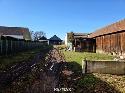 Grundstück kaufen in 2042 Guntersdorf (Bild 5)