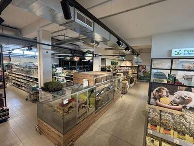 Anlageobjekt kaufen in 5073 Wals (Bild 5)