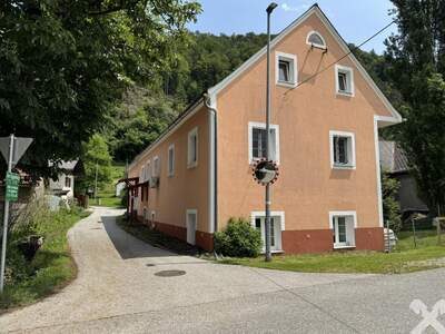 Office / Business kaufen in 8101 Steiermark