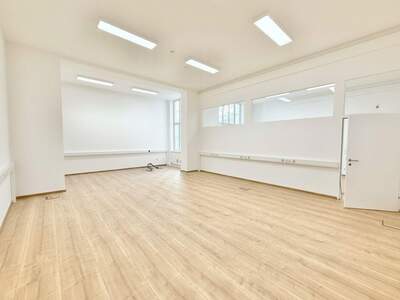 Gewerbeobjekt mieten in 1070 Wien (Bild 4)