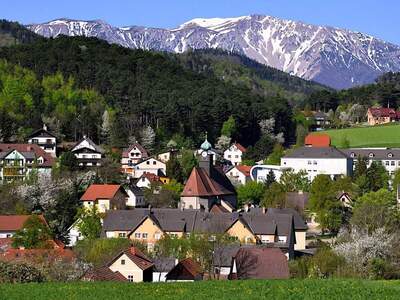 Haus kaufen in 2733 Grünbach