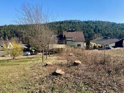 Grundstück kaufen in 2822 Walpersbach