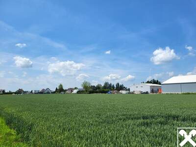 Gewerbeobjekt mieten in 4063 Hörsching (Bild 4)