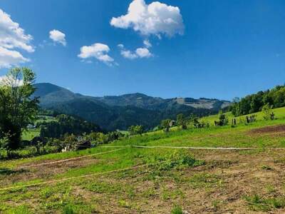 Grundstück kaufen in 8600 Oberaich (Bild 5)
