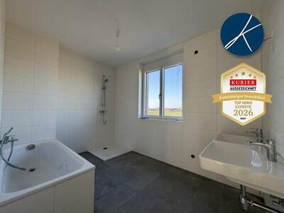 Mehrfamilienhaus kaufen in 3484 Grafenwörth (Bild 5)