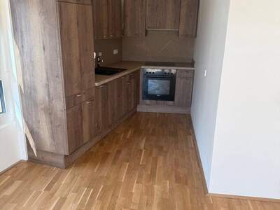 Terrassenwohnung mieten in 1100 Wien (Bild 3)