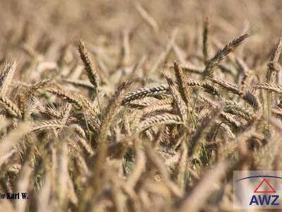 Grundstück kaufen in 4753 Taiskirchen