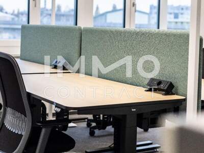 Gewerbeobjekt mieten in 1210 Wien (Bild 3)