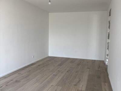 Mietwohnung in 1190 Wien (Bild 2)