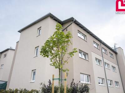 Mietwohnung in 4209 Engerwitzdorf (Bild 2)