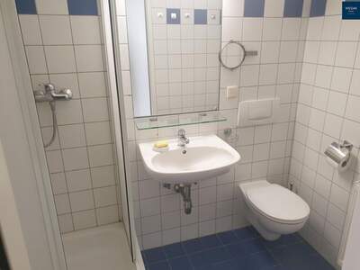 Altbauwohnung mieten in 8010 Graz (Bild 3)