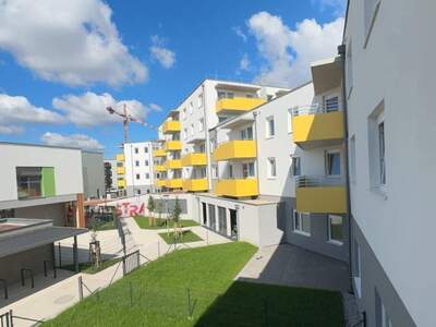 Wohnung mieten in 2700 Wiener Neustadt