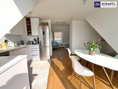 Terrassenwohnung kaufen in 1050 Wien (Bild 2)