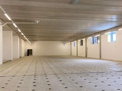 Gewerbeobjekt mieten in 1220 Wien (Bild 2)