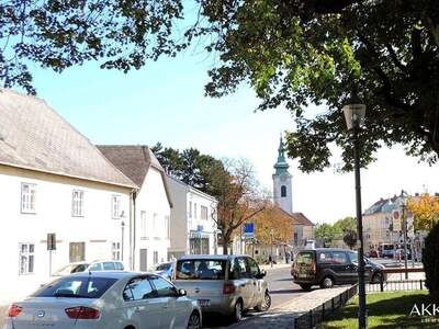Haus mit Garten kaufen in 1230 Wien (Bild 1)