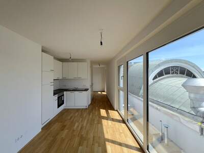 Terrassenwohnung mieten in 1110 Wien (Bild 5)