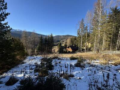 Grundstück kaufen in 8742 Mönchegg (Bild 2)