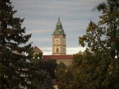 Haus kaufen in 4470 Enns